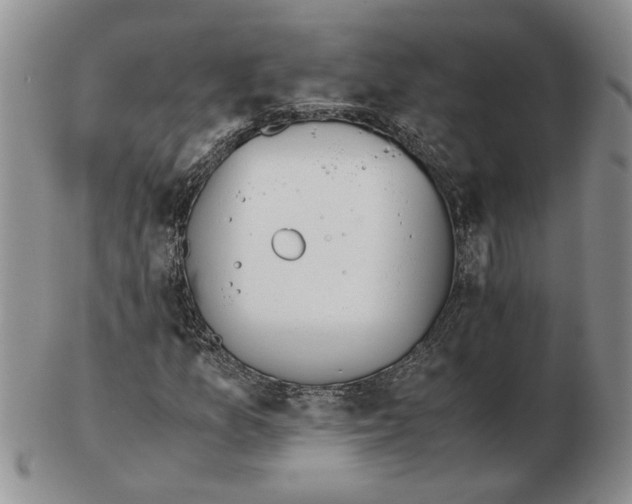 X0000102761157200809151007