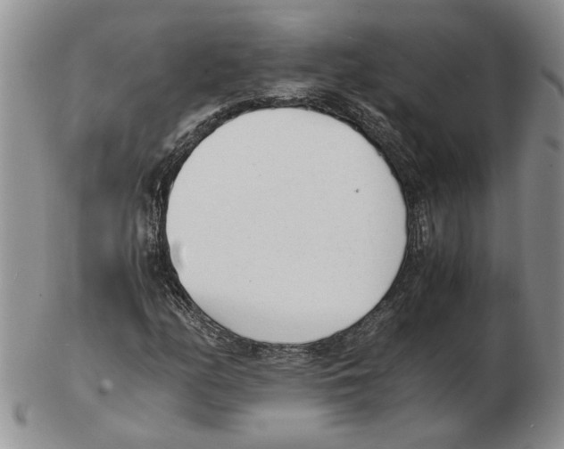 X0000102761158200809151007