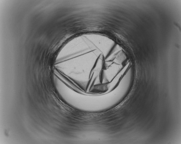 X0000102761161200809151007