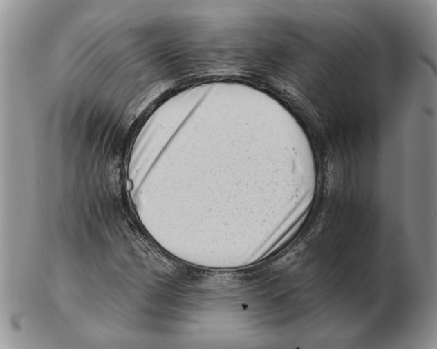 X0000102761162200809151007