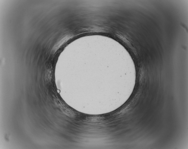 X0000102761163200809151007