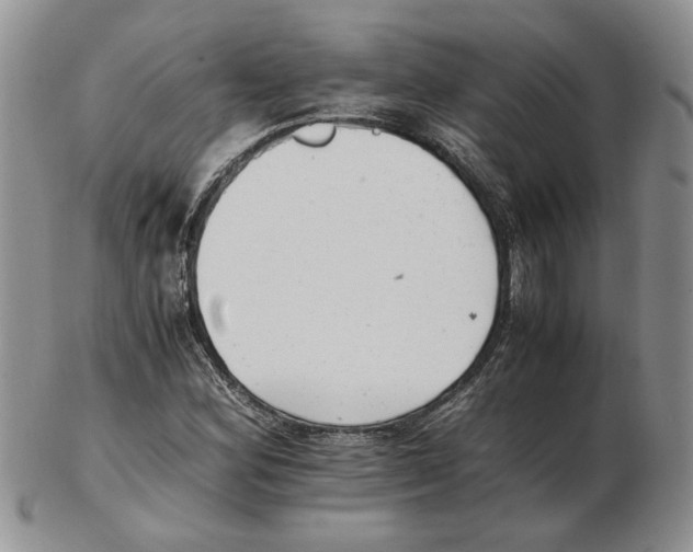 X0000102761164200809151007