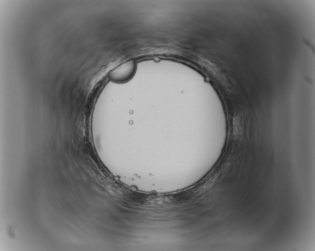 X0000102761165200809151007