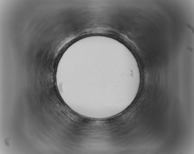 X0000102761166200809151007