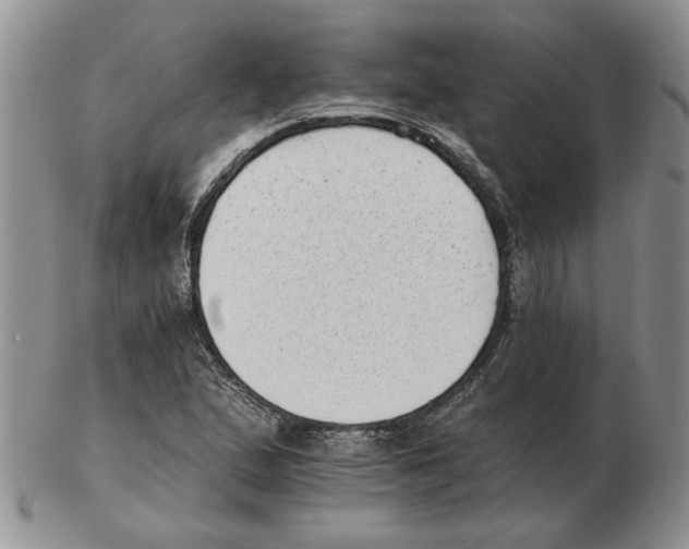 X0000102761167200809151007