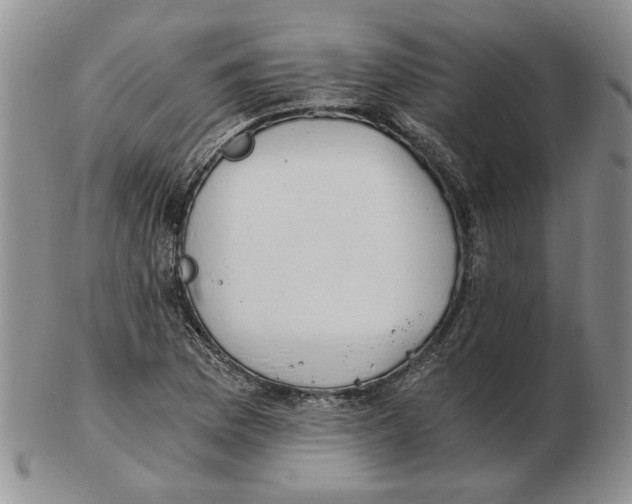 X0000102761169200809151007