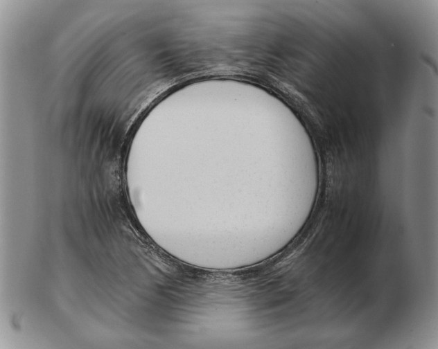 X0000102761170200809151007