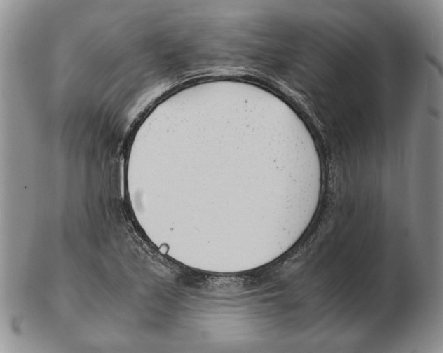 X0000102761171200809151007