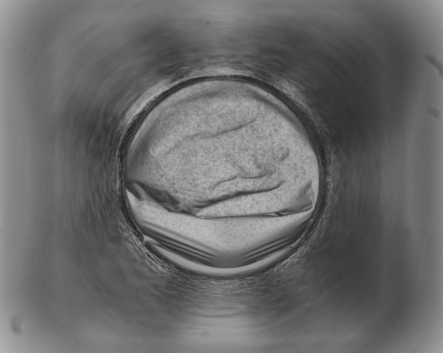 X0000102761173200809151007