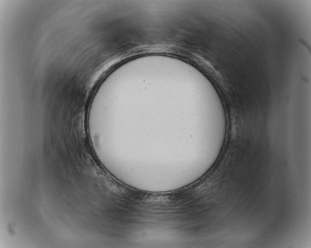 X0000102761174200809151007