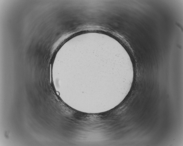 X0000102761175200809151007