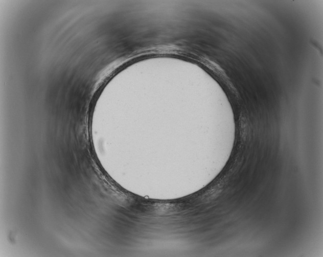 X0000102761176200809151007