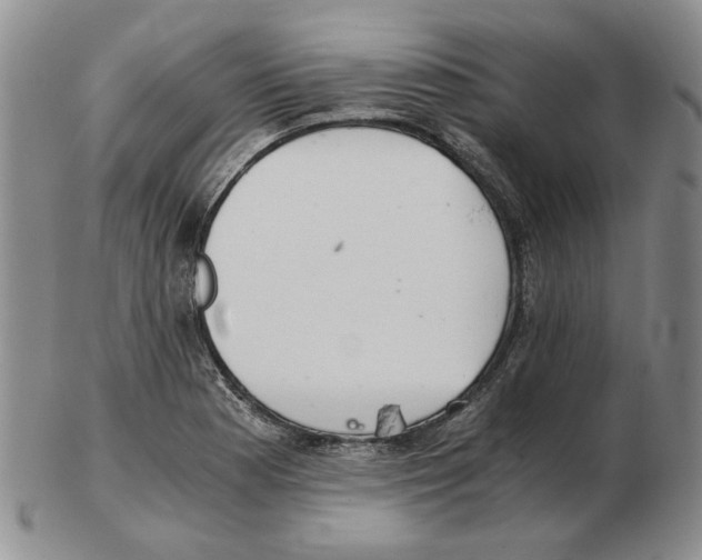 X0000102761177200809151007