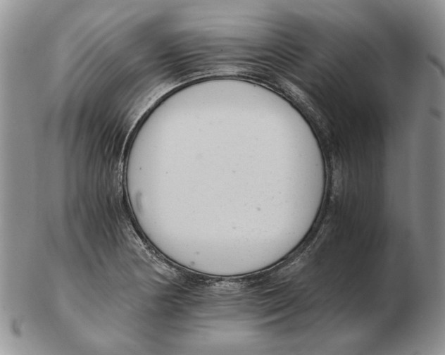 X0000102761178200809151007