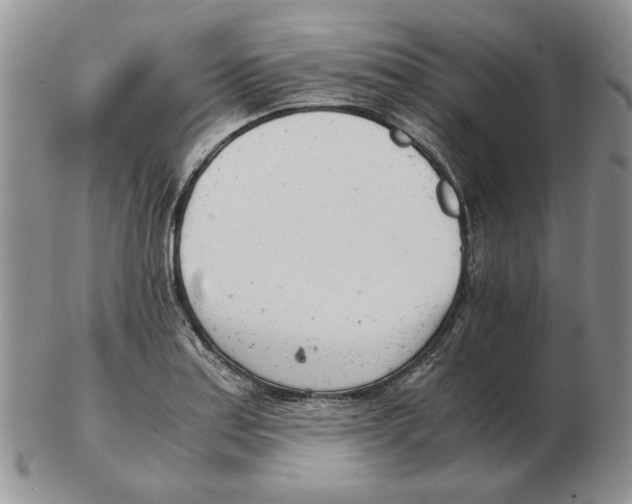 X0000102761179200809151007