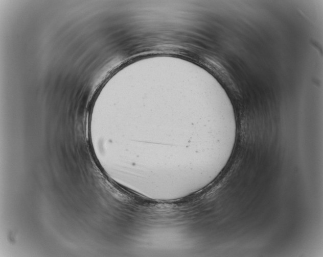 X0000102761180200809151007