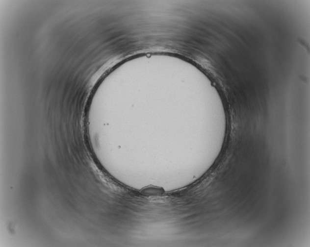 X0000102761181200809151007