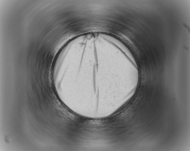 X0000102761182200809151007