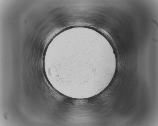 X0000102761183200809151007