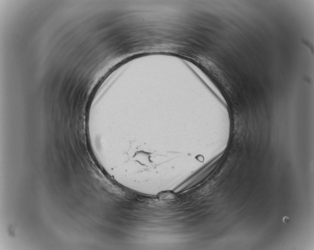 X0000102761184200809151007