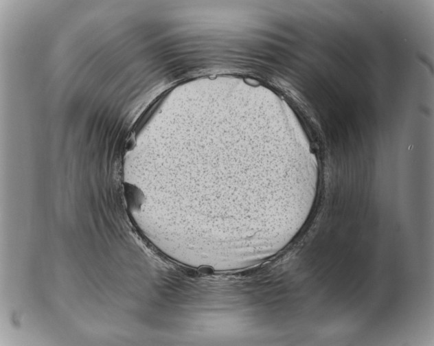 X0000102761185200809151007