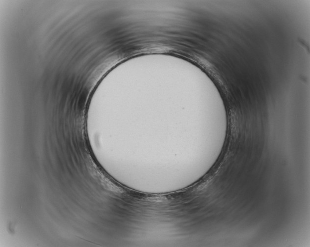 X0000102761186200809151007