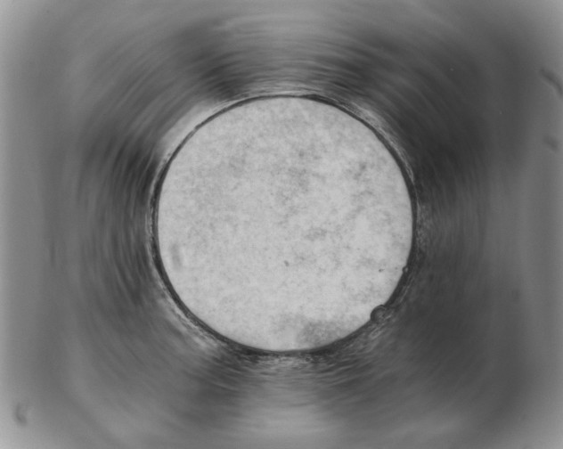 X0000102761187200809151007