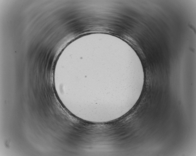 X0000102761188200809151007