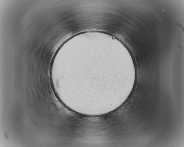 X0000102761189200809151007