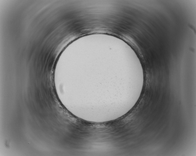 X0000102761190200809151007