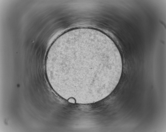 X0000102761191200809151007