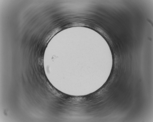 X0000102761193200809151007