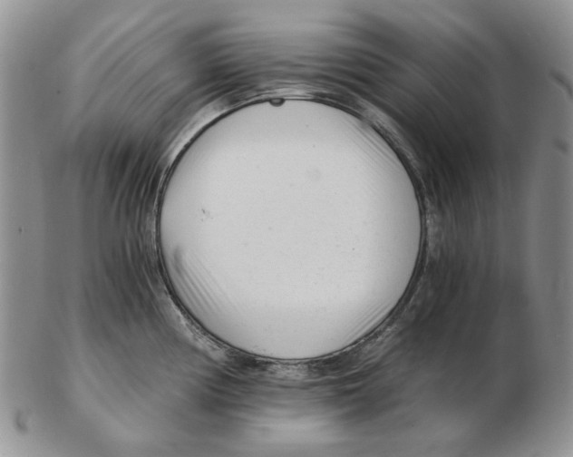 X0000102761194200809151007