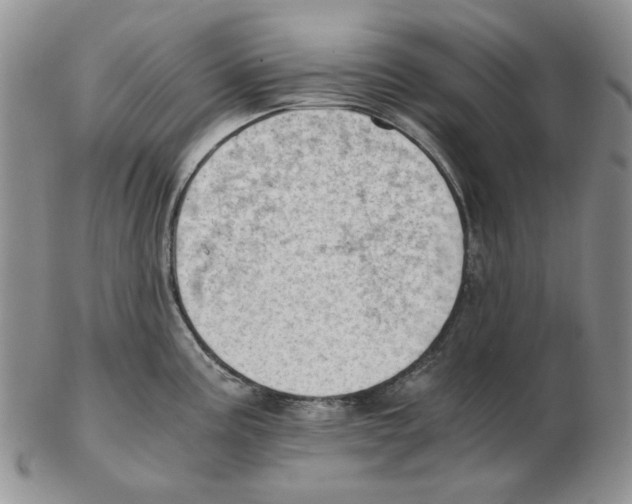 X0000102761195200809151007