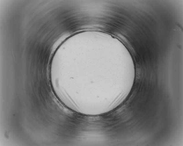 X0000102761196200809151007