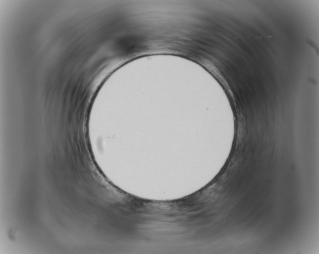 X0000102761197200809151007