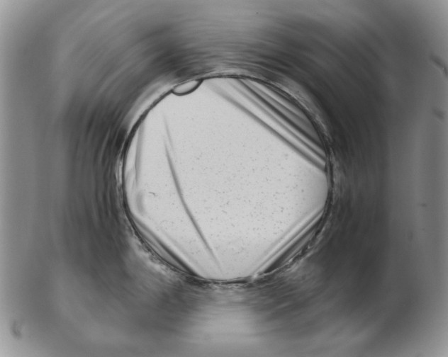 X0000102761198200809151007