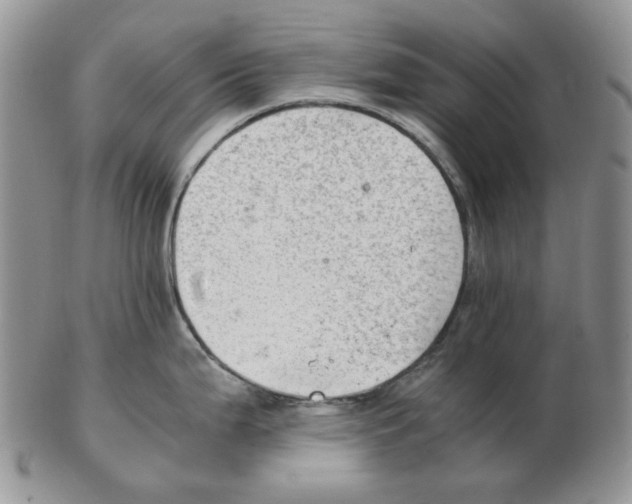 X0000102761199200809151007