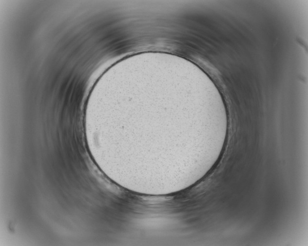 X0000102761200200809151007