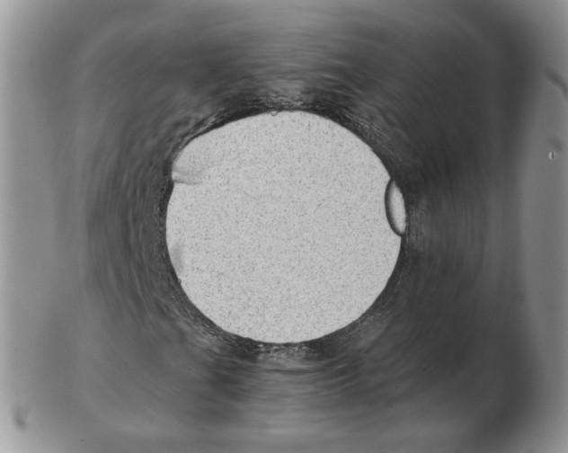 X0000102761201200809151006