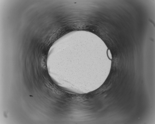 X0000102761202200809151006