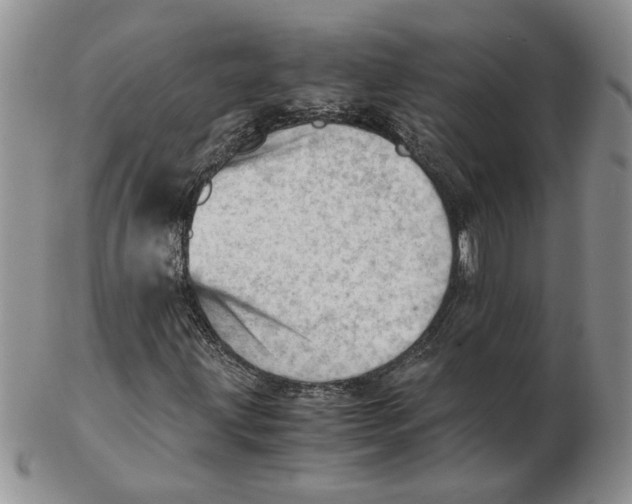 X0000102761203200809151006