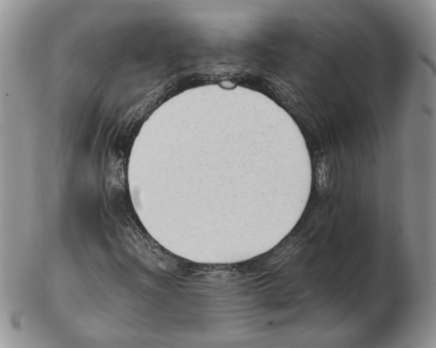 X0000102761204200809151006