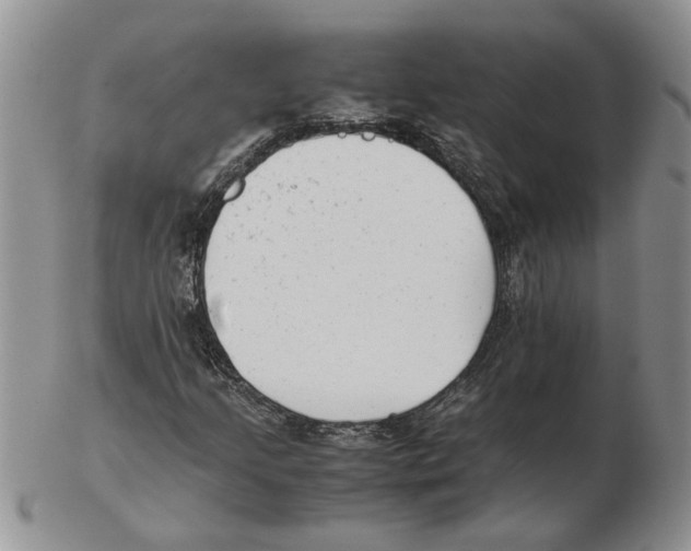 X0000102761205200809151006