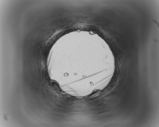 X0000102761206200809151006