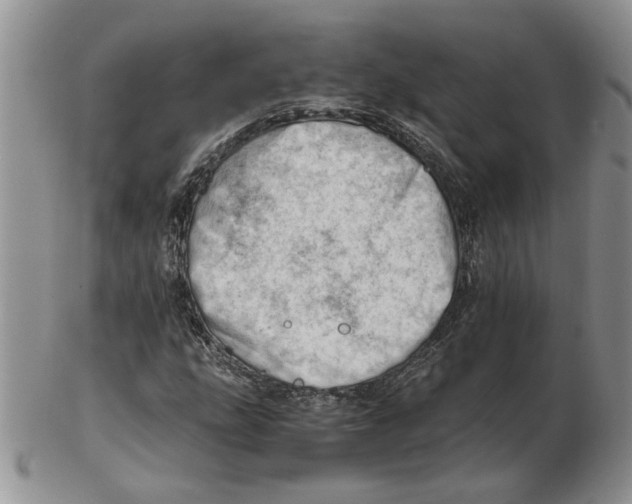 X0000102761207200809151006