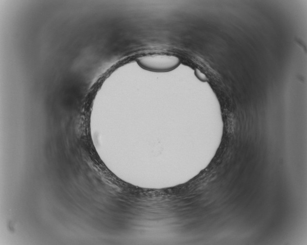 X0000102761208200809151006