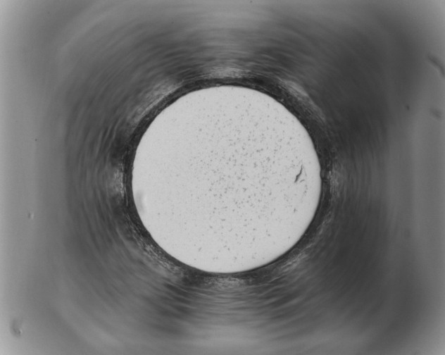 X0000102761209200809151006