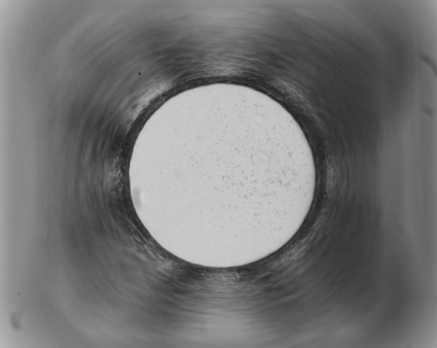 X0000102761210200809151006