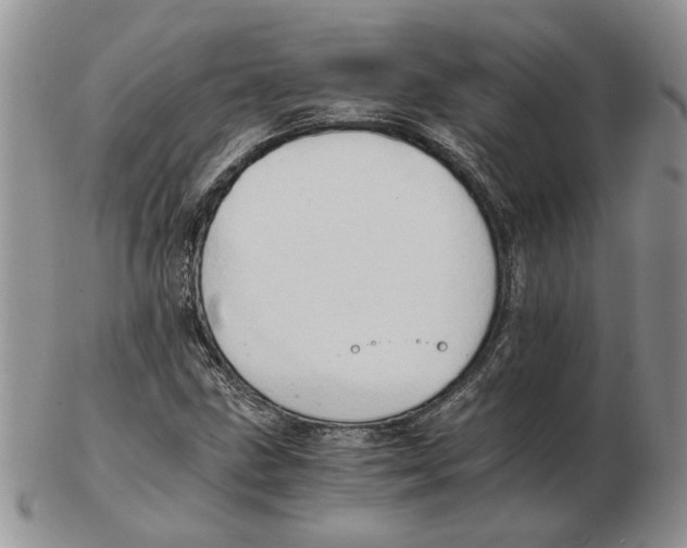 X0000102761211200809151006